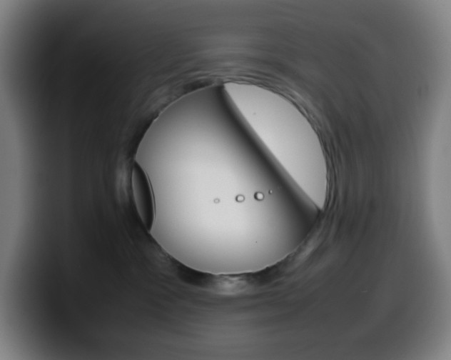 X0000099510333200805151016