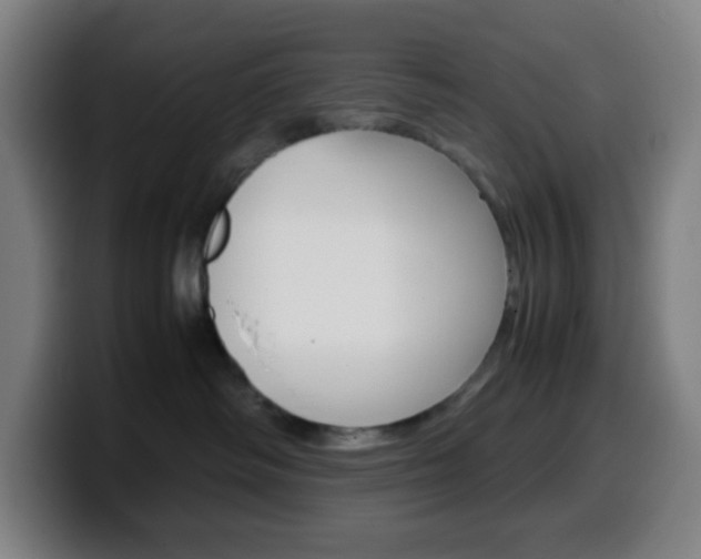 X0000099510334200805151016