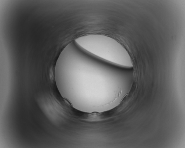 X0000099510335200805151016