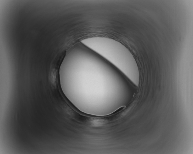 X0000099510336200805151016