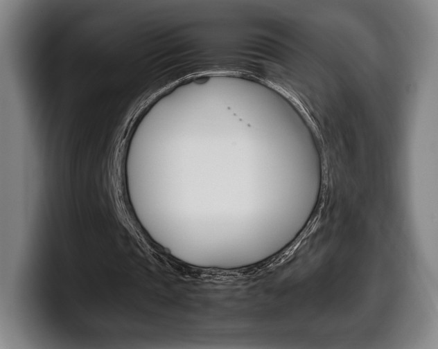 X0000099510337200805151015