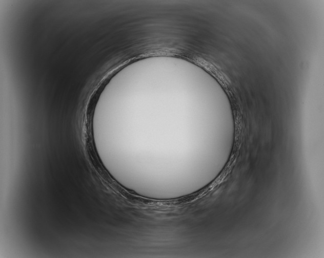 X0000099510338200805151015
