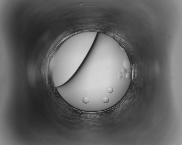 X0000099510339200805151015