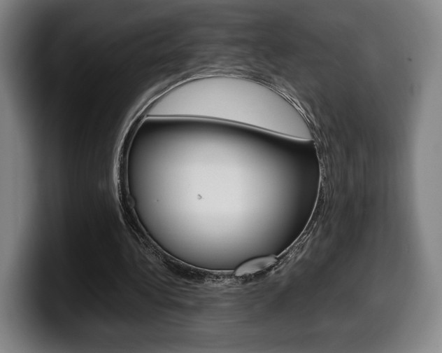 X0000099510340200805151015