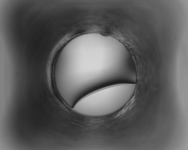 X0000099510341200805151015