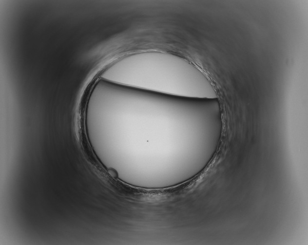 X0000099510342200805151015