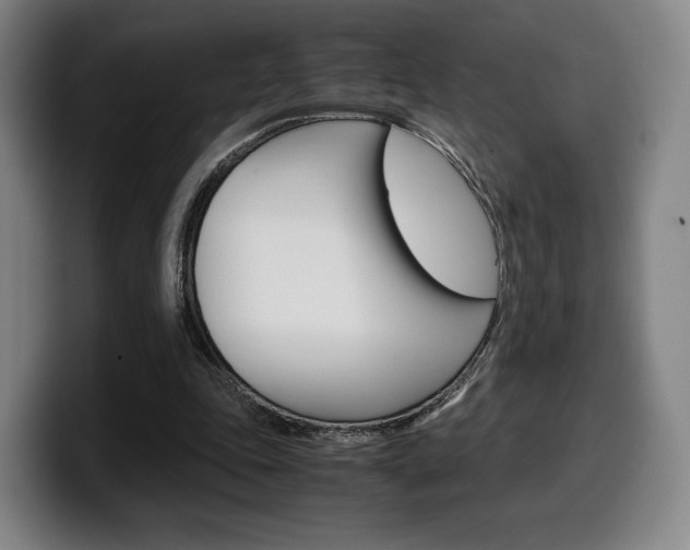 X0000099510343200805151016