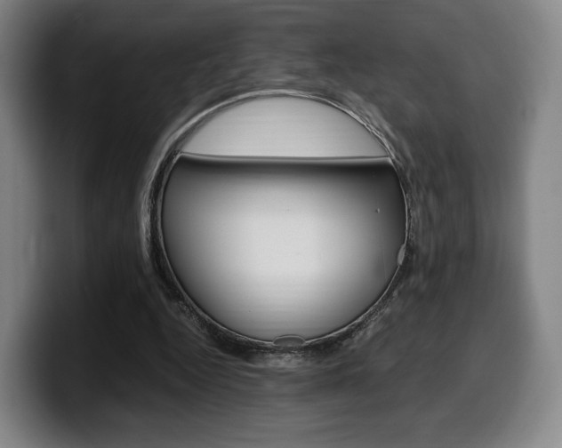 X0000099510344200805151016