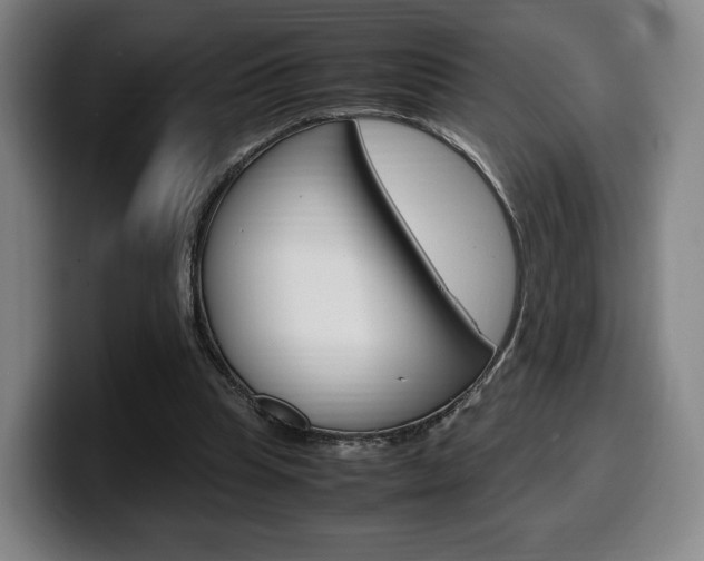 X0000099510345200805151016