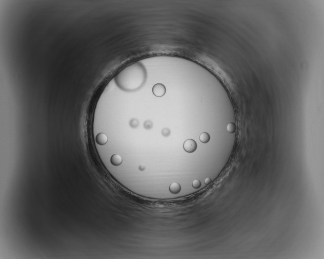 X0000099510346200805151016