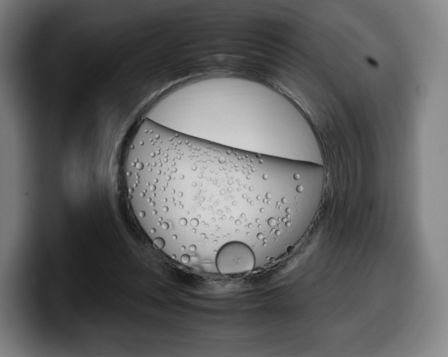 X0000099510351200805151016