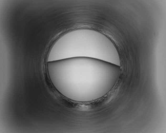 X0000099510352200805151016