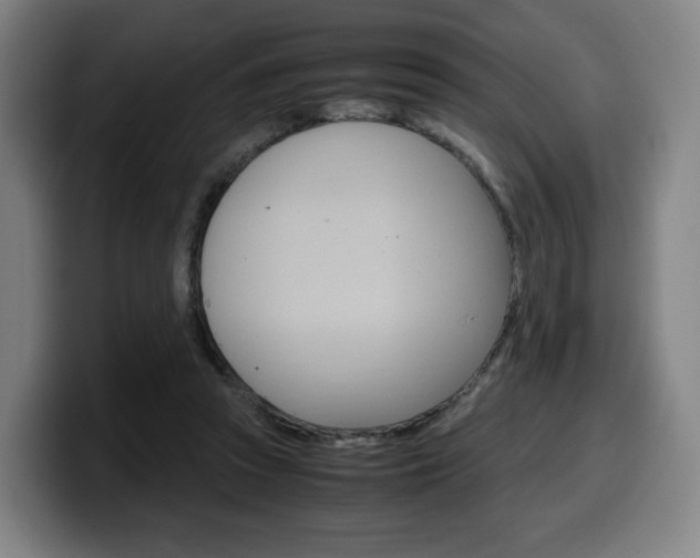 X0000099510353200805151016
