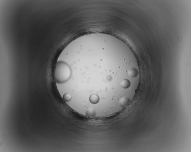 X0000099510354200805151016