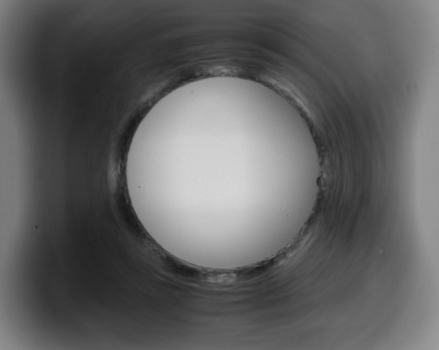 X0000099510355200805151016