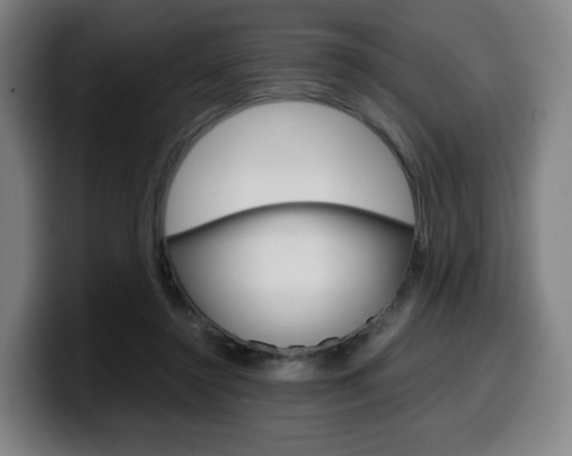 X0000099510356200805151016
