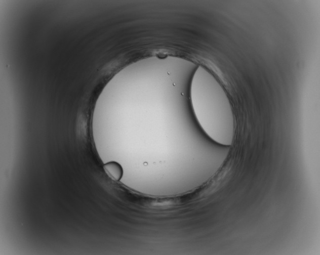 X0000099510357200805151016