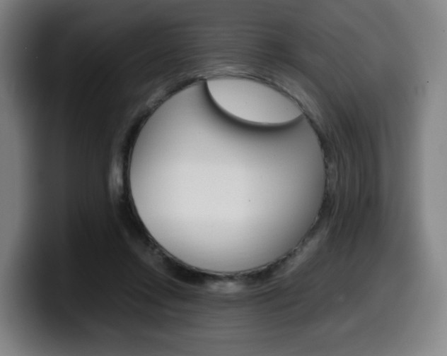 X0000099510358200805151016