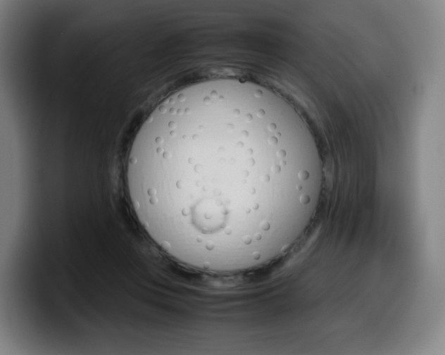 X0000099510359200805151016