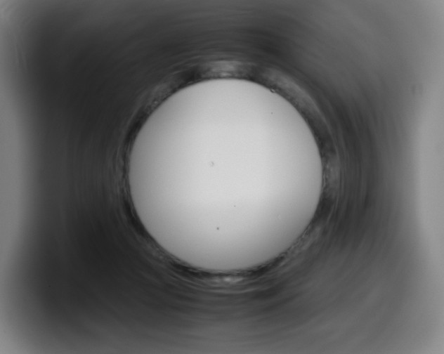 X0000099510361200805151016