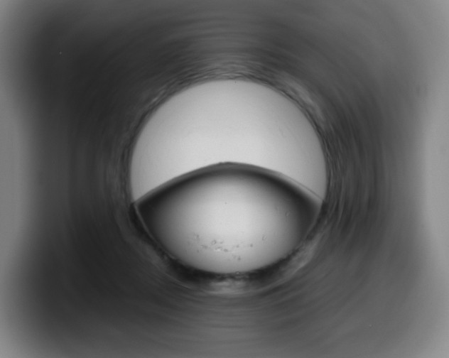X0000099510362200805151016
