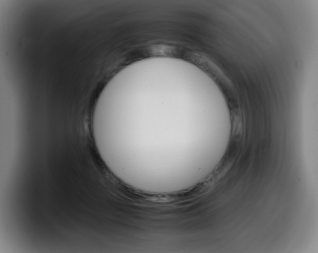 X0000099510363200805151016