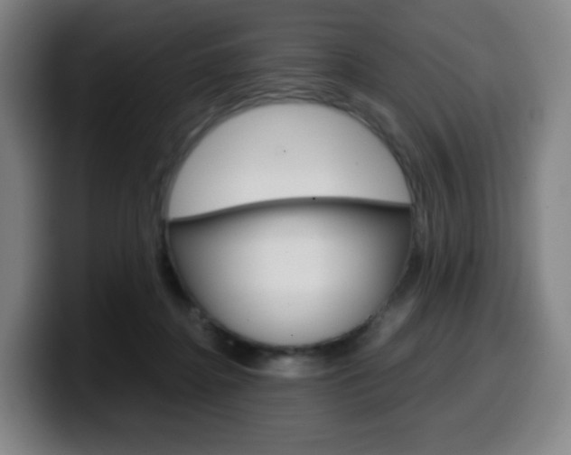 X0000099510364200805151016