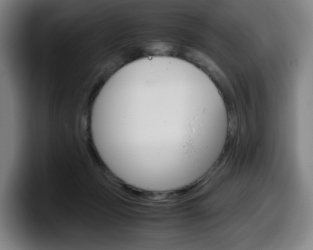 X0000099510365200805151016