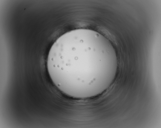 X0000099510366200805151016