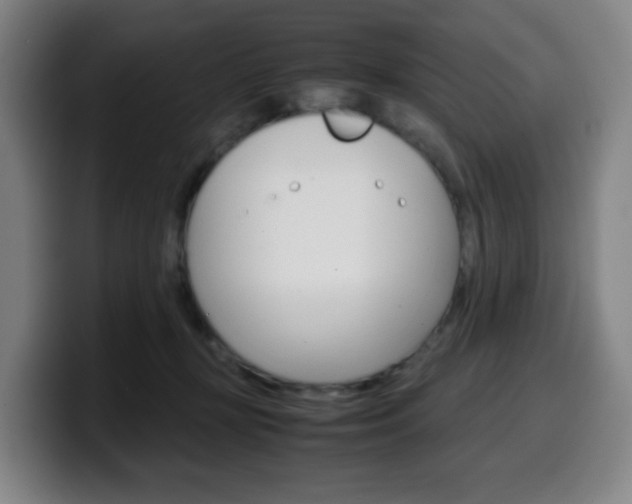 X0000099510367200805151016