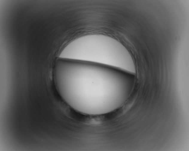 X0000099510368200805151016