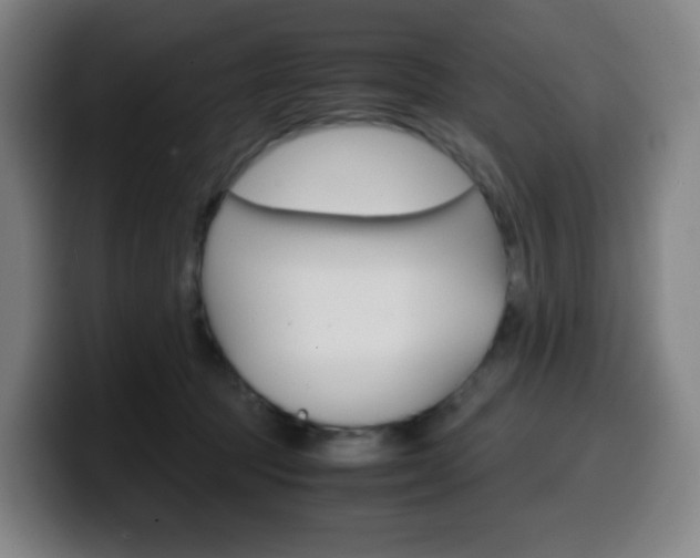 X0000099510369200805151016
