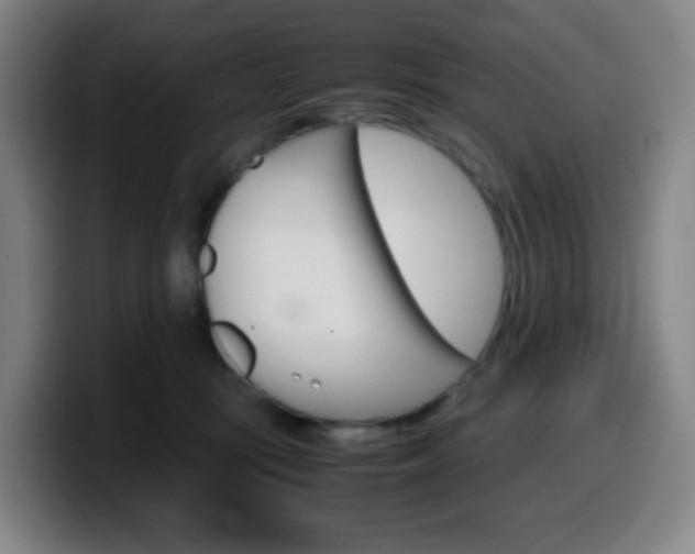 X0000099510371200805151016