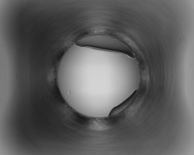 X0000099510372200805151016
