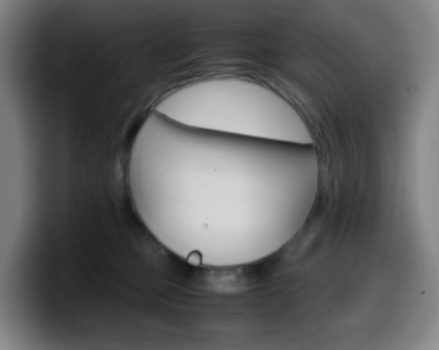 X0000099510373200805151016
