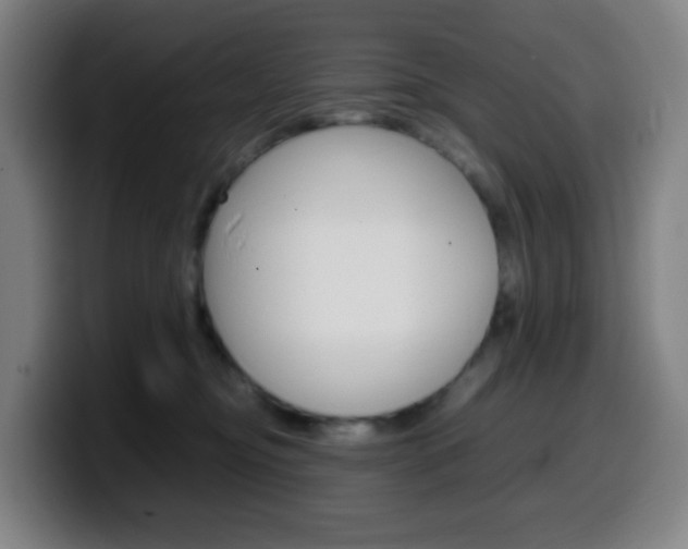 X0000099510374200805151016