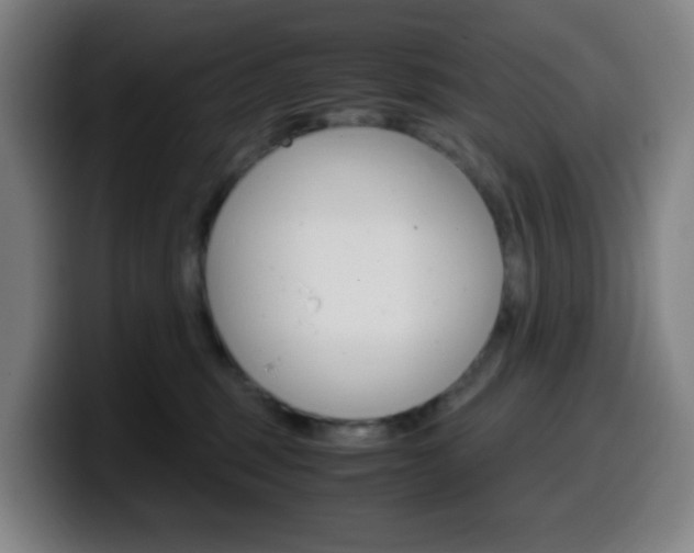 X0000099510375200805151016