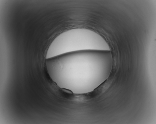 X0000099510376200805151016