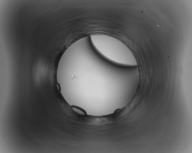 X0000099510379200805151016