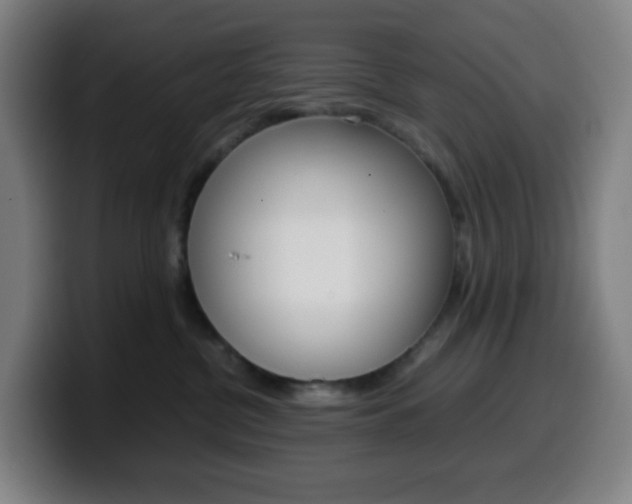 X0000099510380200805151016