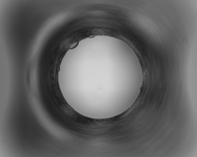 X0000099510381200805151016