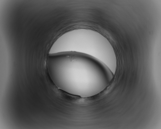 X0000099510382200805151016