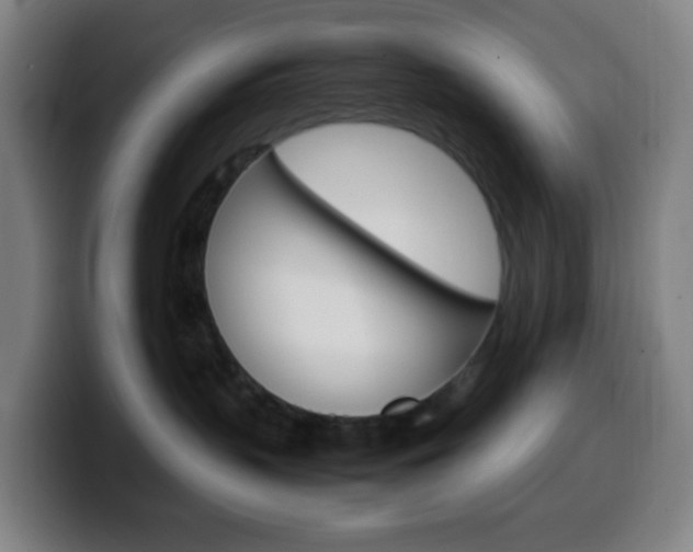 X0000099510383200805151016