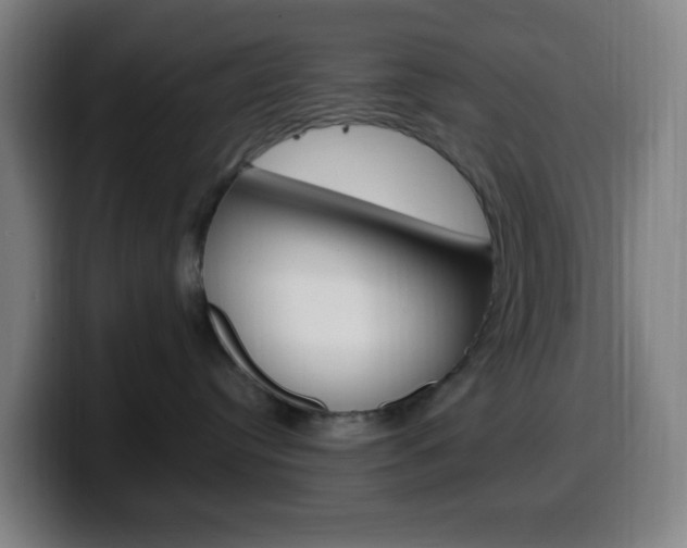 X0000099510384200805151016