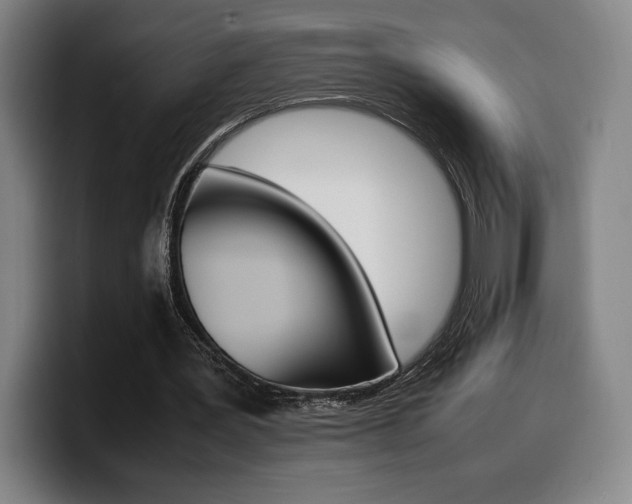 X0000099510387200805151015