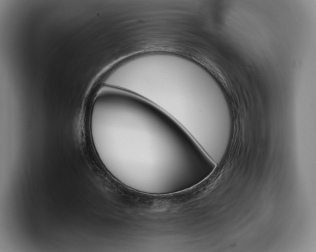 X0000099510388200805151015