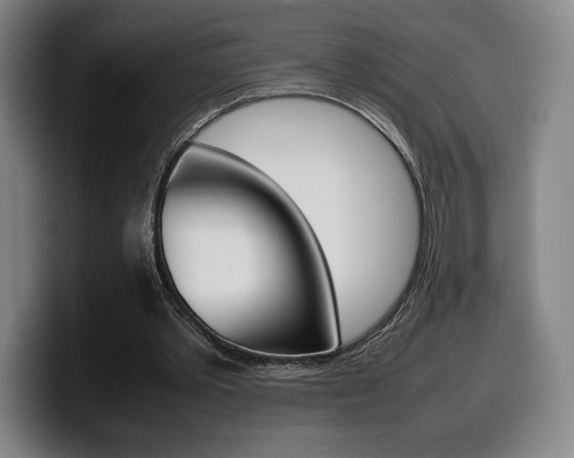X0000099510389200805151015