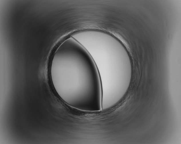 X0000099510391200805151015