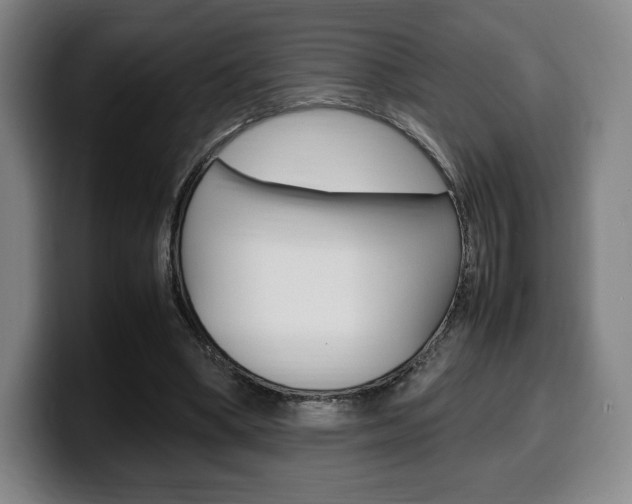 X0000099510394200805151015