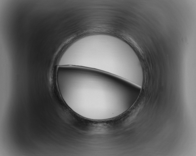 X0000099510396200805151015